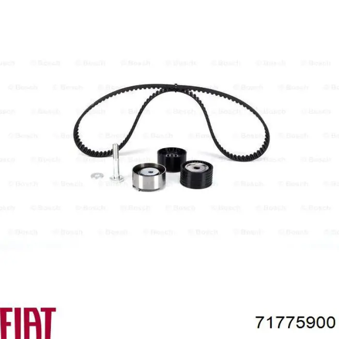 Do koszyka 71775900 Fiat/Alfa/Lancia Pasek rozrządu, zestaw