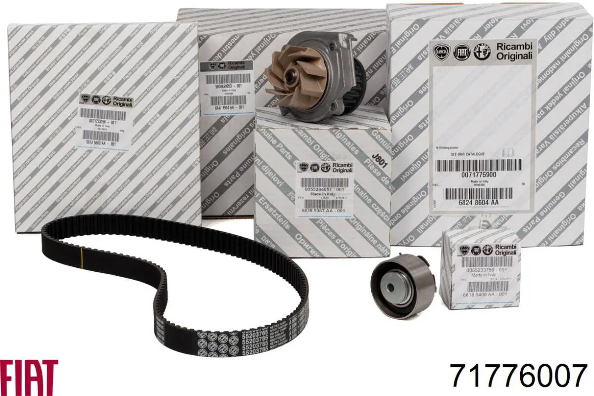 Do koszyka 71776007 Fiat/Alfa/Lancia Pasek rozrządu, zestaw
