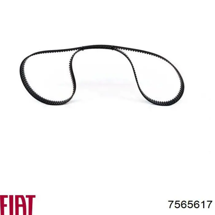 Pasek rozrządu Fiat/Alfa/Lancia 7565617 cena, od 25,12 USD