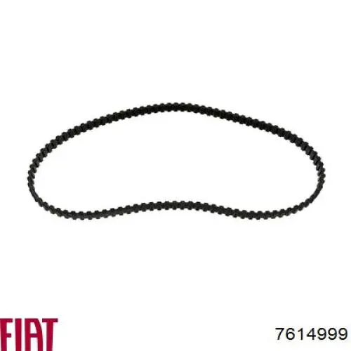 Do koszyka 7614999 Fiat/Alfa/Lancia Pasek wału wyrównoważającego