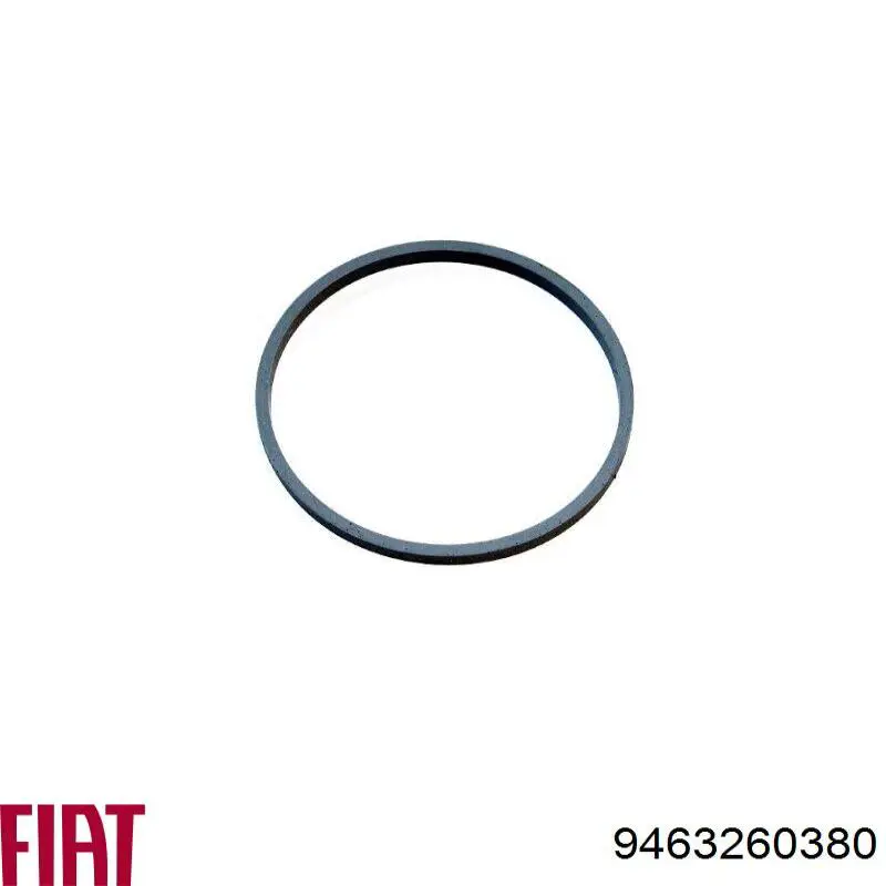 9463260380 Fiat/Alfa/Lancia Uszczelka przepustnicy