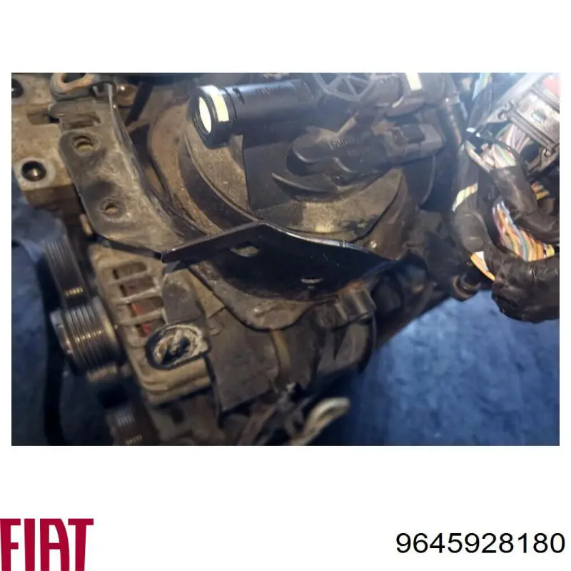 Obudowa filtra paliwa Fiat/Alfa/Lancia 9645928180 cena, od 63,06 USD