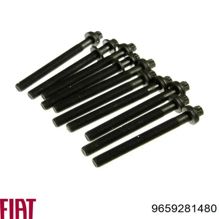 Do koszyka 1102676 Ford Śruba głowicy cylindrów