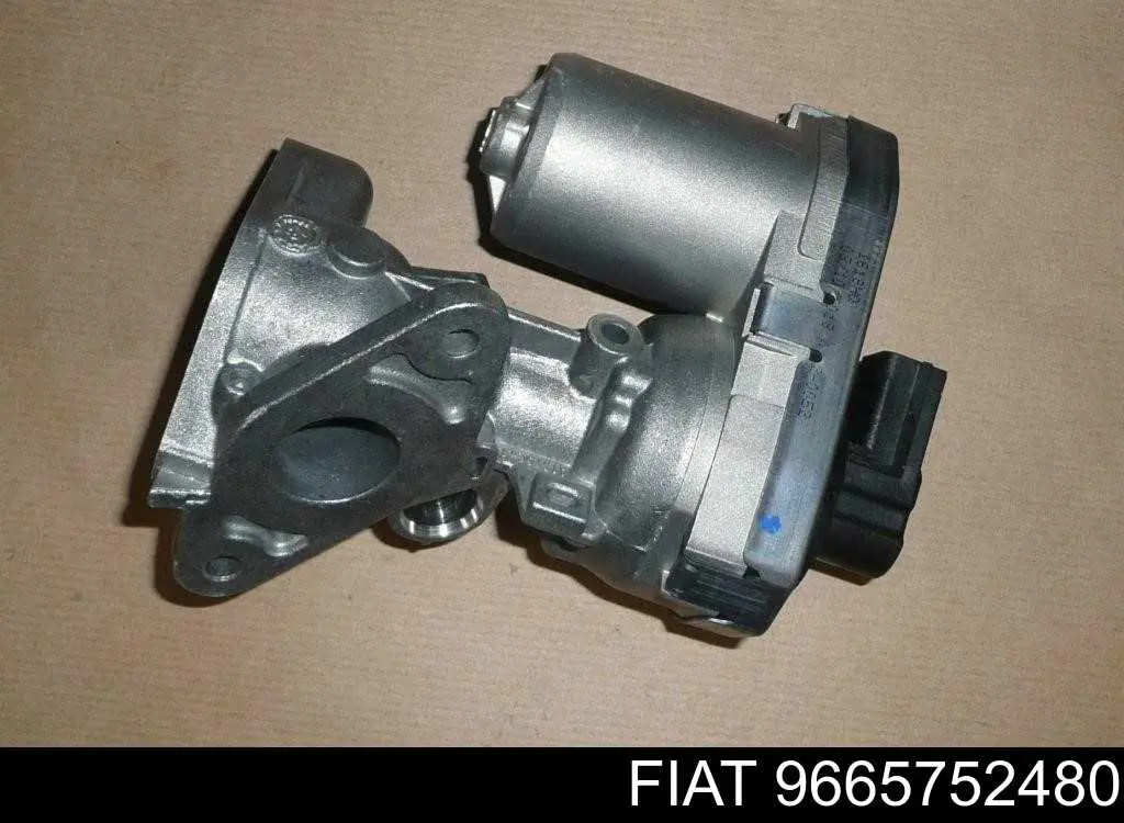 9665752480 Fiat/Alfa/Lancia Zawór recyrkulacji spalin EGR