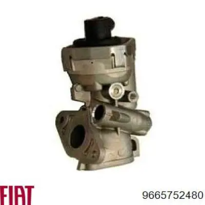 Do koszyka 9665752480 Fiat/Alfa/Lancia Zawór recyrkulacji spalin EGR
