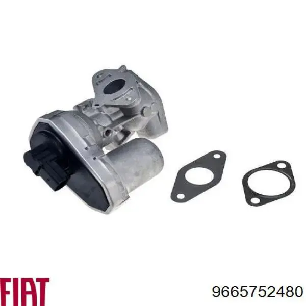 Zawór recyrkulacji spalin EGR Fiat/Alfa/Lancia 9665752480