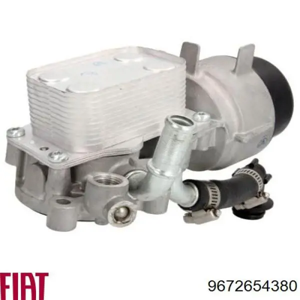 9672654380 Fiat/Alfa/Lancia Obudowa filtra oleju