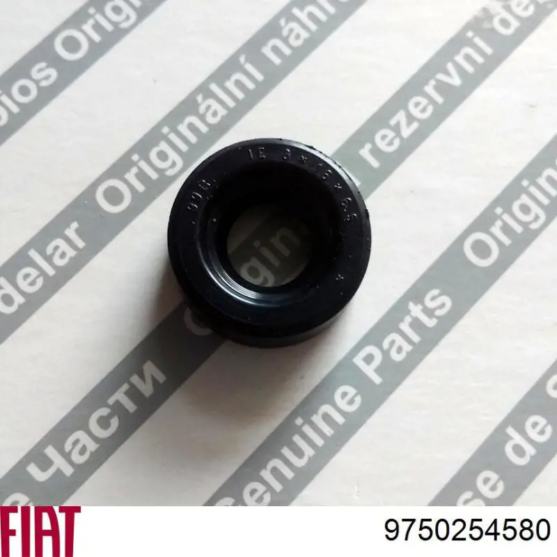 Do koszyka 9750254580 Fiat/Alfa/Lancia Uszczelniacz automatycznej/mechanicznej skrzyni biegów (wał-koła zębate)