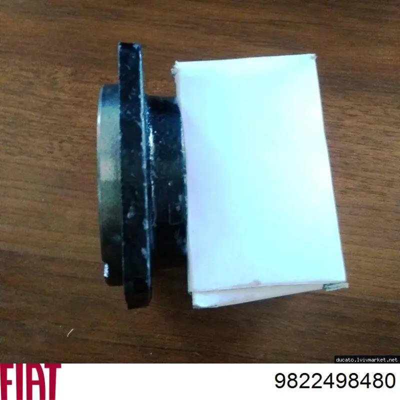Uszczelniacz półosi lewej mostu przedniego Fiat/Alfa/Lancia 9822498480