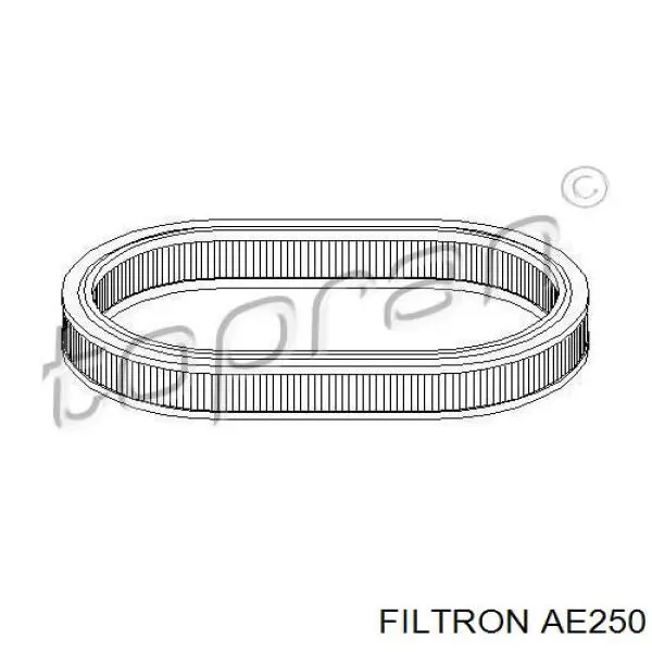 Do koszyka AE250 Filtron Filtr powietrza