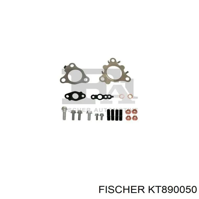 KT890050 Georg Fisher turbina