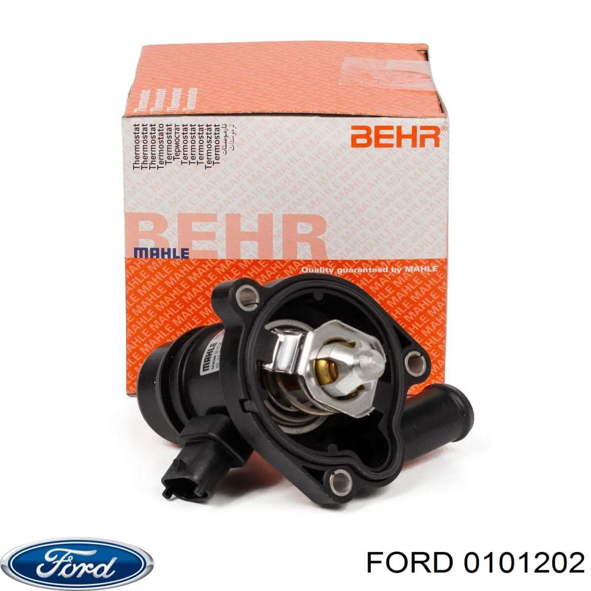 Do koszyka Poduszka (podpora) silnika lewa Ford Mondeo II BFP