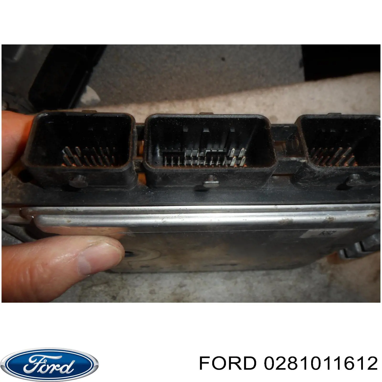 Do koszyka Sterownik silnika Ford Focus II DA, FFS, DS