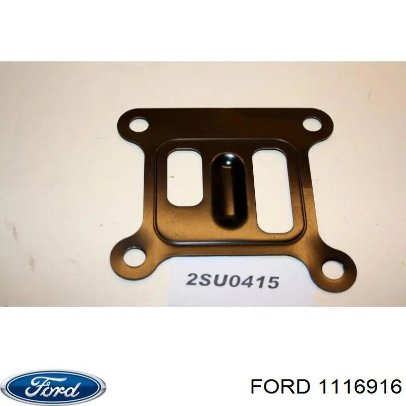 1116916 Ford uszczelka pompy wodnej