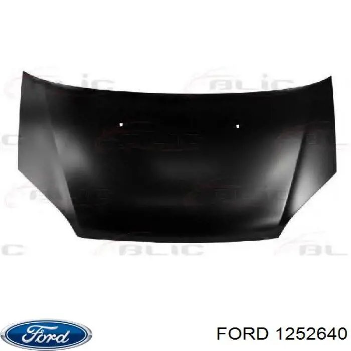 Do koszyka Maska silnika Ford C-Max  DM2