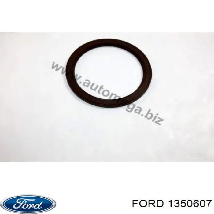Do koszyka 1350607 Ford Uszczelniacz wału korbowego silnika tylny