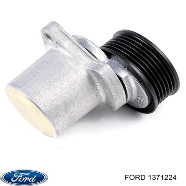 Do koszyka 1371224 Ford Napinacz paska napędowego