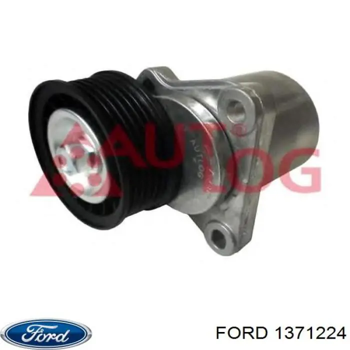 Napinacz paska napędowego Ford 1371224