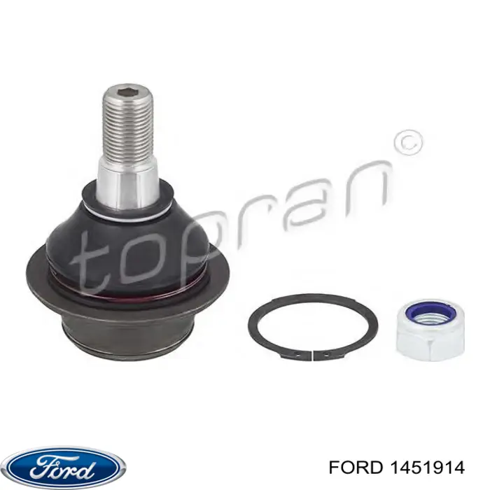 Do koszyka 1451914 Ford Sworzeń wahacza dolny