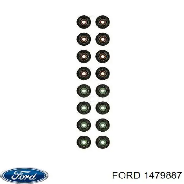 Do koszyka 1479887 Ford Uszczelniacz zaworu wylotowego
