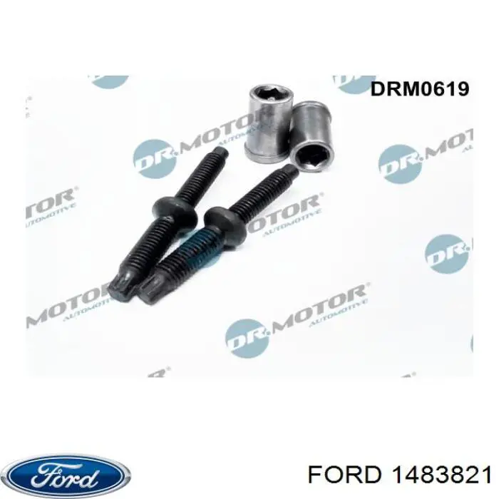 1483821 Ford Pierścień uszczelniający wtryskiwacza