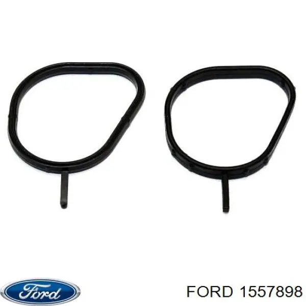 Do koszyka 1557898 Ford Uszczelka obudowy termostatu
