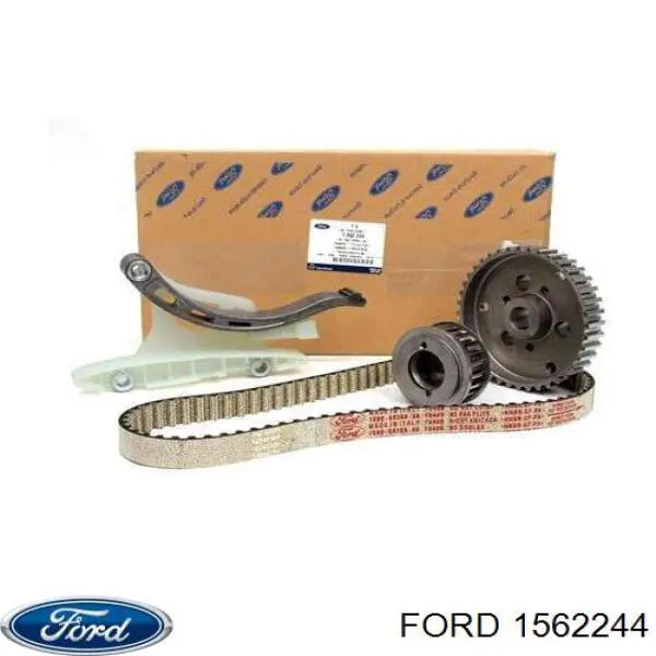 Do koszyka 1562244 Ford Pasek rozrządu, zestaw