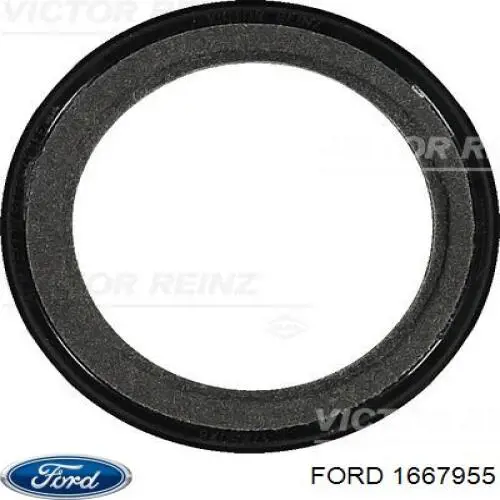 Do koszyka 1667955 Ford Uszczelniacz wału korbowego przedni