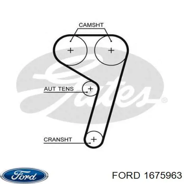Do koszyka 1675963 Ford Pasek rozrządu