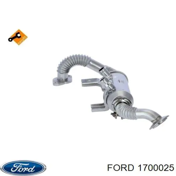 Do koszyka 1700025 Ford Chłodnica układu recyrkulacji spalin EGR