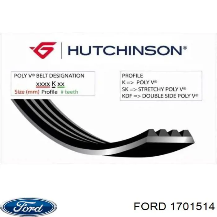 Do koszyka 1701514 Ford Pas napędowy mechanizmów