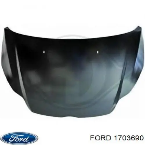 1703690 Ford Maska silnika