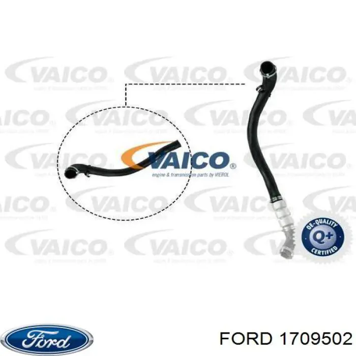 1709502 Ford Przewód (króciec) intercoolera
