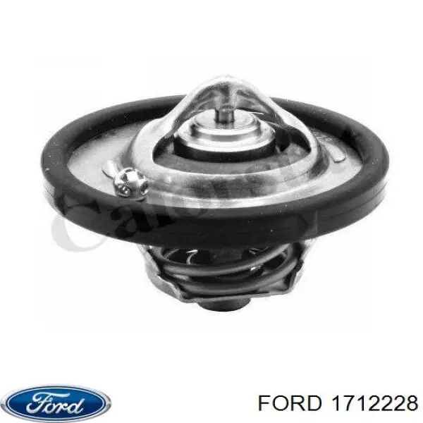 1712228 Ford Termostat