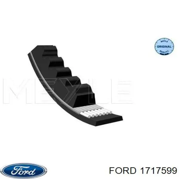1717599 Ford łańcuch rozrządu