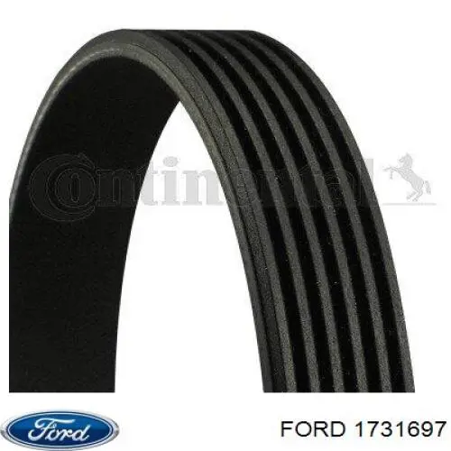 Pas napędowy mechanizmów Ford 1731697 cena, od 14,88 USD