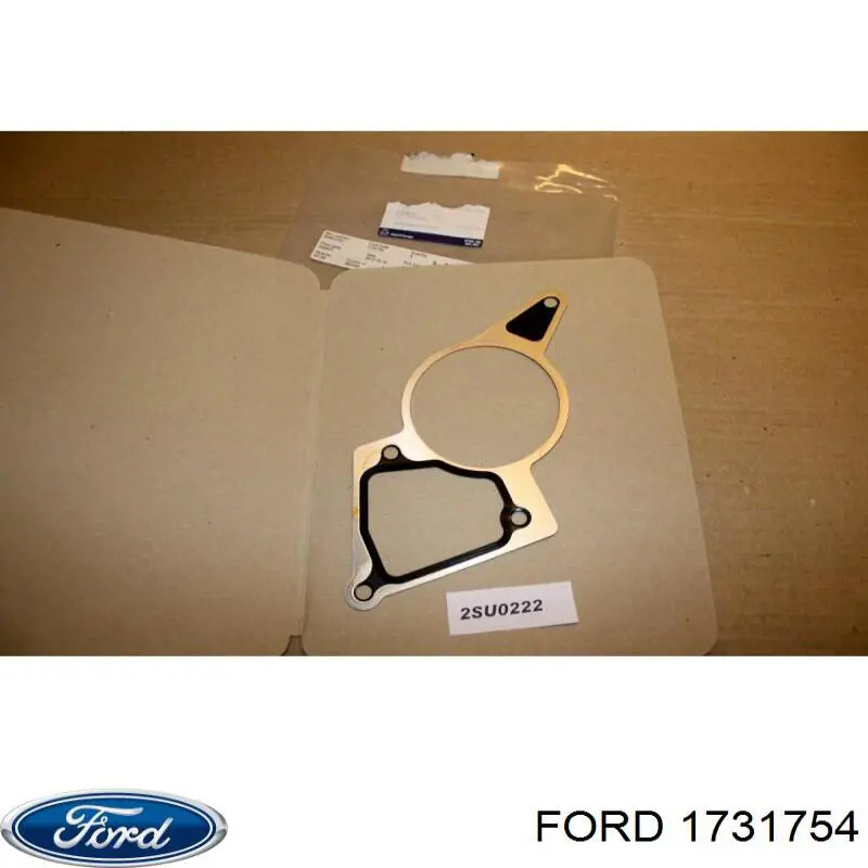 Do koszyka 1731754 Ford Uszczelka pompy próżniowej