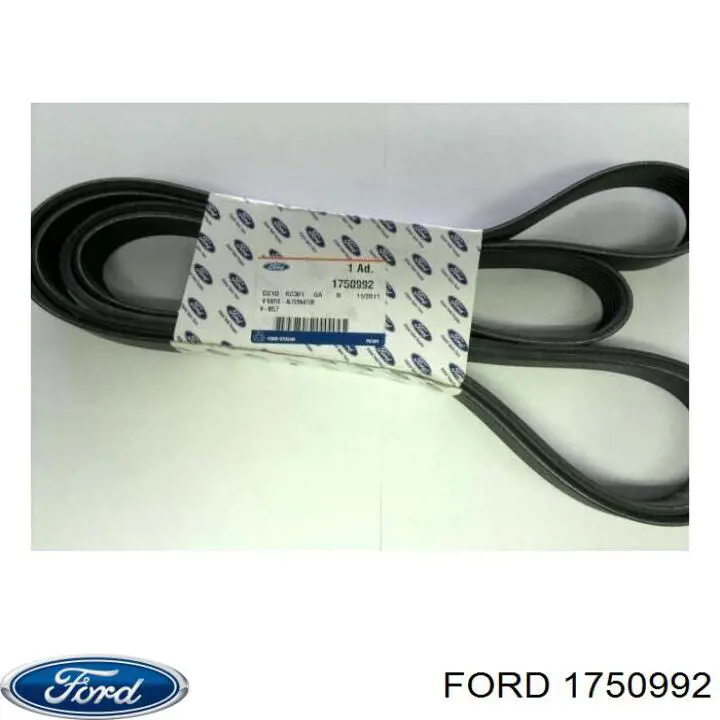 Pas napędowy mechanizmów Ford 1750992 cena, od 43,87 USD
