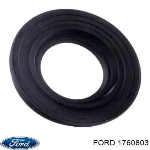 1760803 Ford Pierścień uszczelniający gniazda świecy