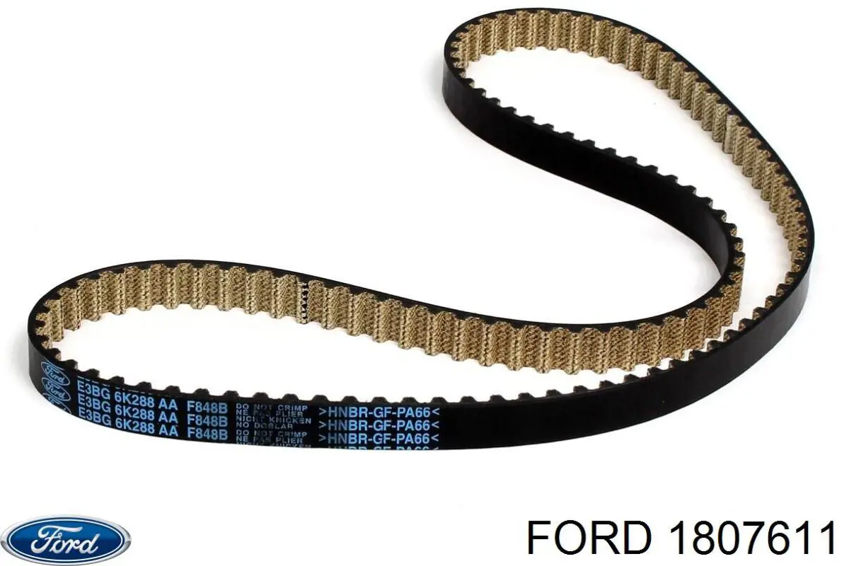 1807611 Ford Pasek rozrządu