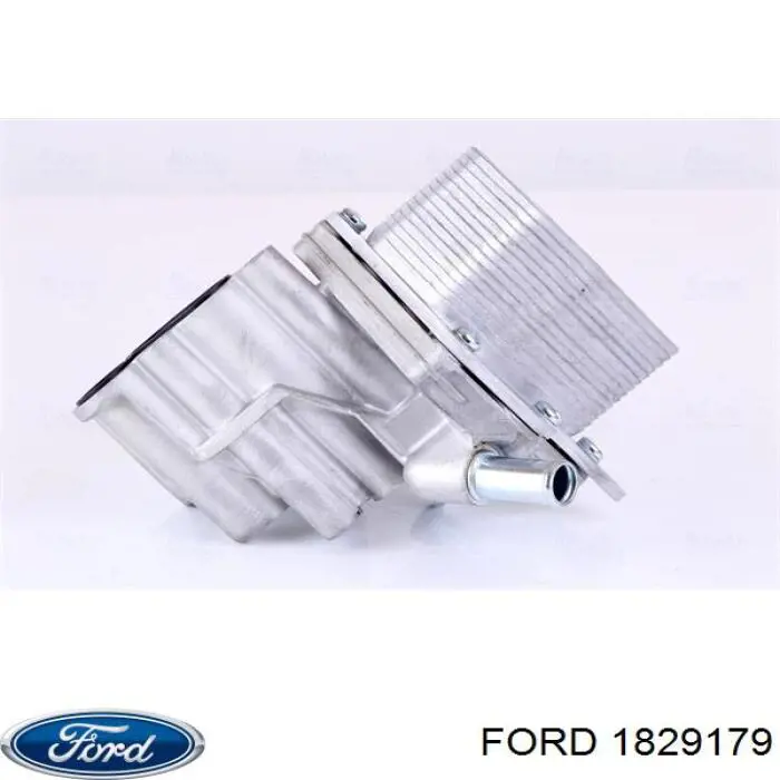 Do koszyka 1829179 Ford Chłodnica oleju, pod filtrem