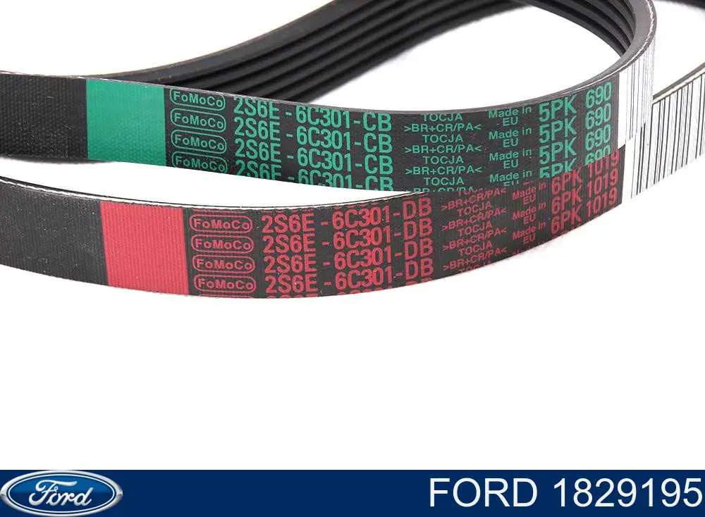 Pasek napędowy mechanizmów, zestaw Ford 1829195 cena, od 30,92 USD