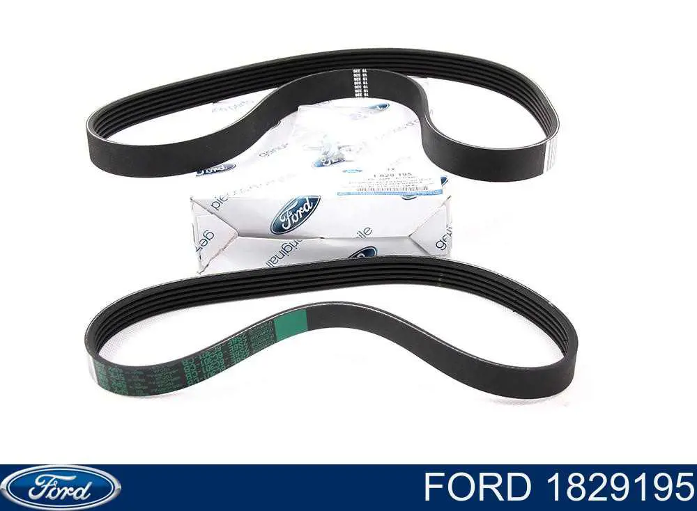 Do koszyka 1829195 Ford Pasek napędowy mechanizmów, zestaw