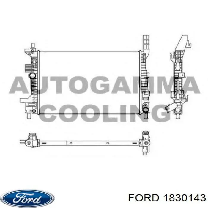 1830143 Ford Chłodnica silnika