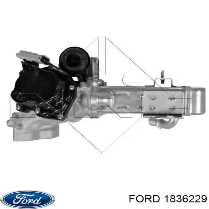 Zawór recyrkulacji spalin EGR Ford 1836229 cena, od 66,73 USD