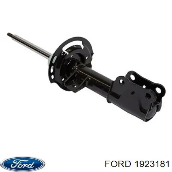 Amortyzator przedni prawy Ford AST24649 cena, od 106,13 USD