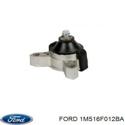 1M516F012BA Ford Poduszka (podpora) silnika prawa