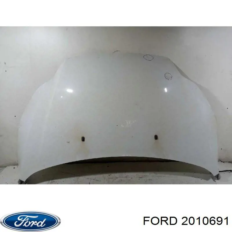 2010691 Ford Zbiorniczek spryskiwacza szyb