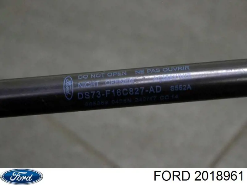 2018961 Ford Amortyzator maski