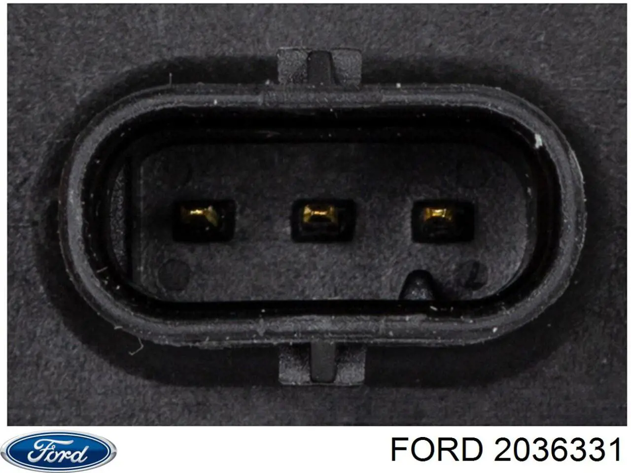 2036331 Ford Cewka zapłonowa